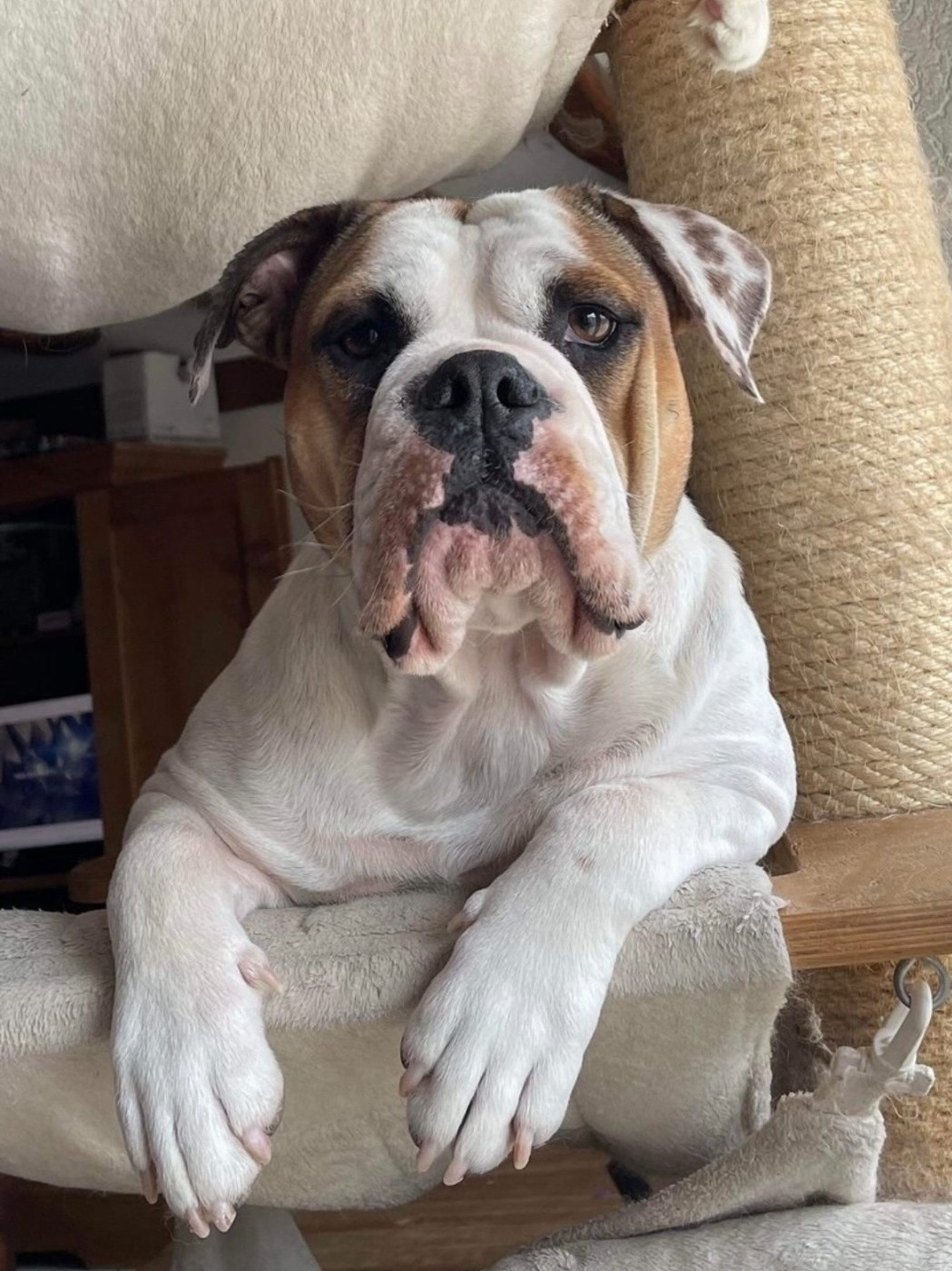 Tequila Du Verger Des Baroudeuses